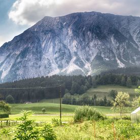 Hanfprodukte | Steiermark