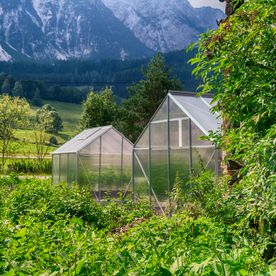 Hanfprodukte | Steiermark
